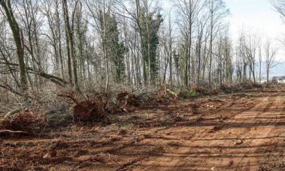 Pedemontana: riprendono i lavori a San Vito in corrispondenza del bosco della Speranza