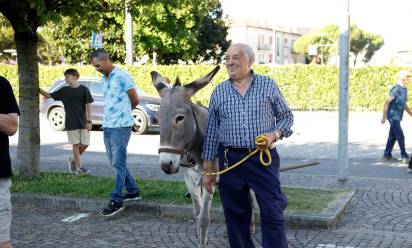 Fiera dei Mussi a Trebaseleghe